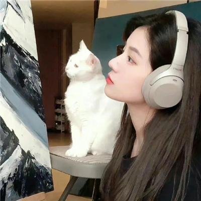 喜爱夜蒲2